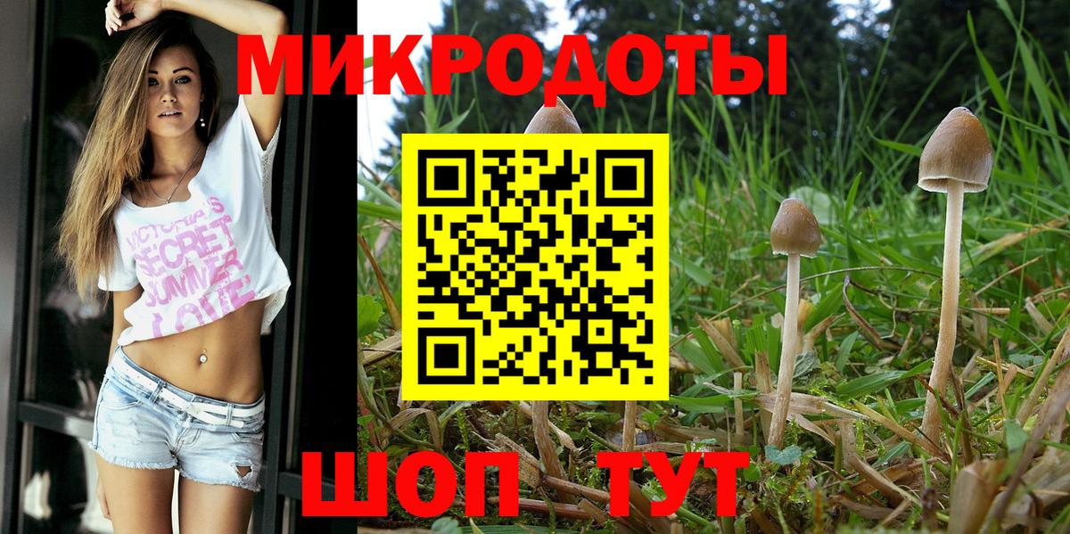 Галлюциногенные грибы MAGIC MUSHROOMS  Вход с VPN  Родники 