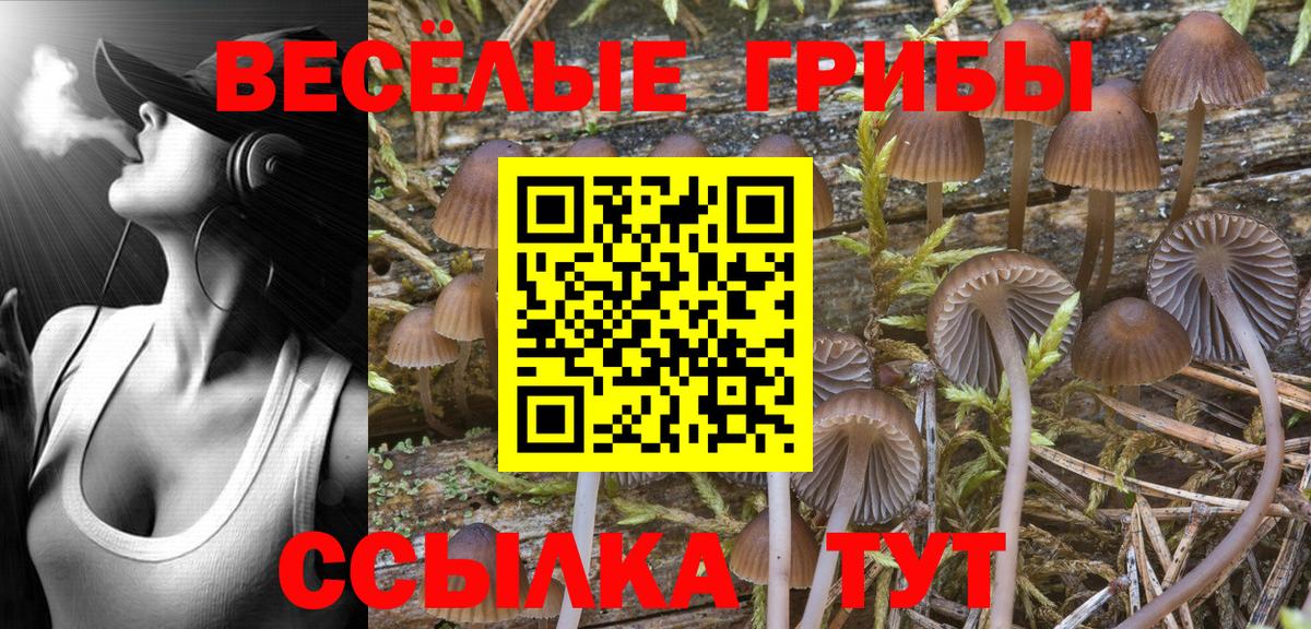 Галлюциногенные грибы MAGIC MUSHROOMS Родники